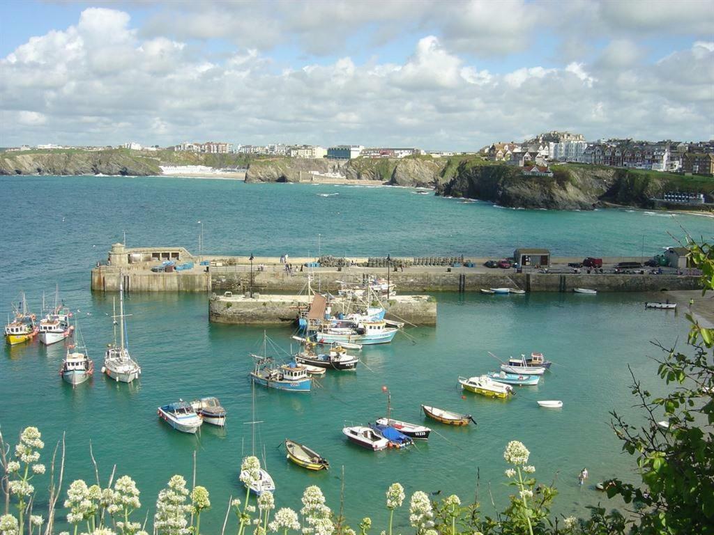 Abreakaway Lodge New Quay Esterno foto